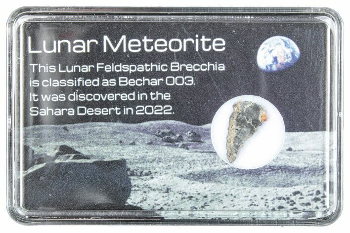 Polished Lunar Meteorite Slice ( g) - Bechar #288376